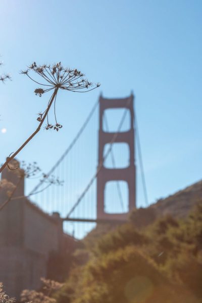 Out of focus Golden Gate Bridge