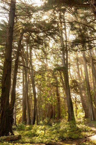 Fort Ross, Jenner