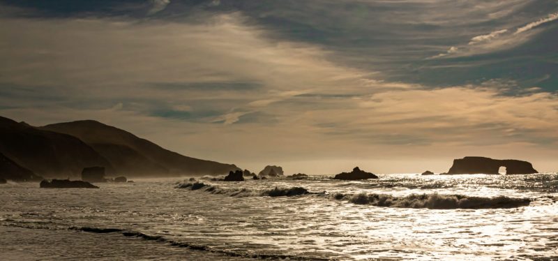 Goat Rock Beach