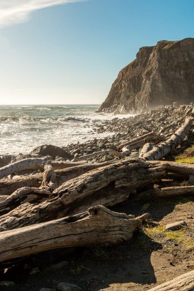 Goat Rock Beach