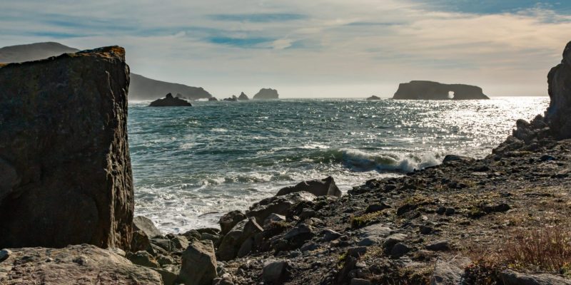 Goat Rock Beach