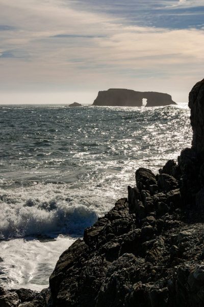 Goat Rock Beach